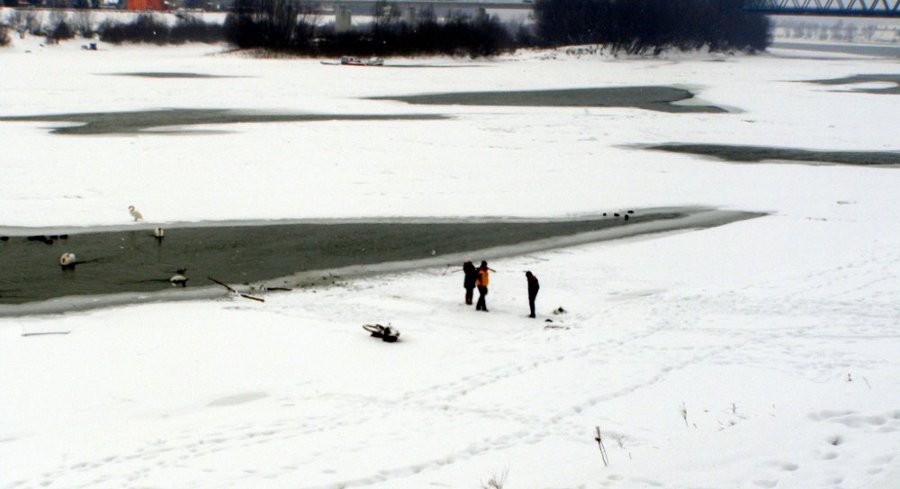 Zale�ena Sava 2012